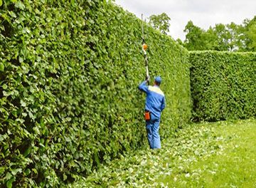 Mantenimiento de jardines